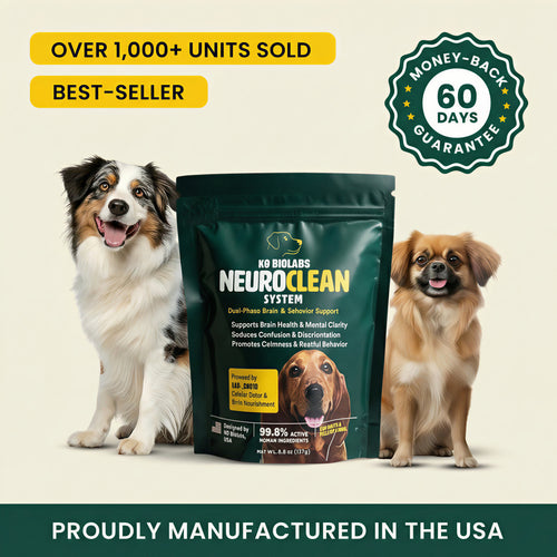 NeuroClean™ - Senior Dog Brain Support