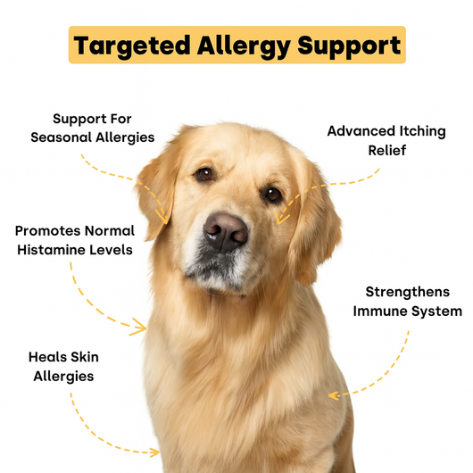 K9-B1 Gut-to-Skin Daily Defense