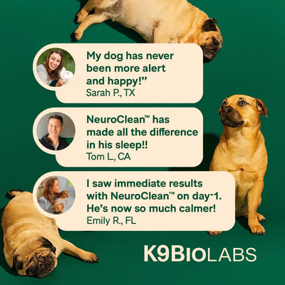 NeuroClean™ - Senior Dog Brain Support