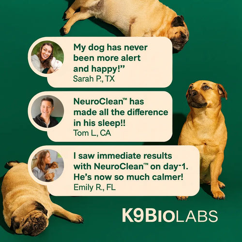 NeuroClean™ - Senior Dog Brain Support