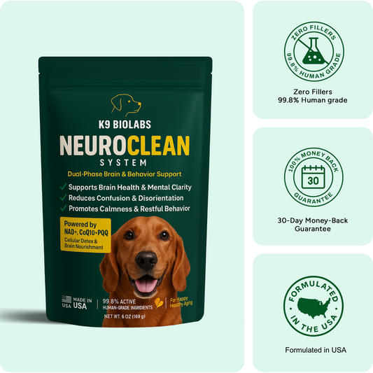 NeuroClean System™