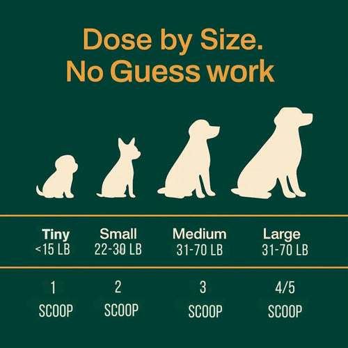 NeuroClean™ - Senior Dog Brain Support