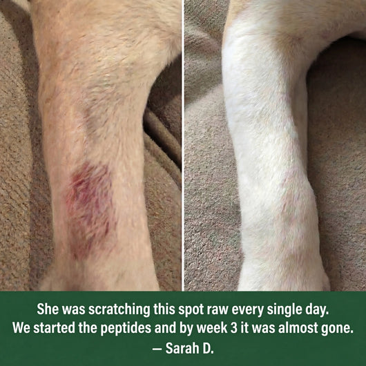 Allergy & Itch Relief with Peptides