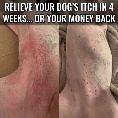 Allergy & Itch Relief with Peptides