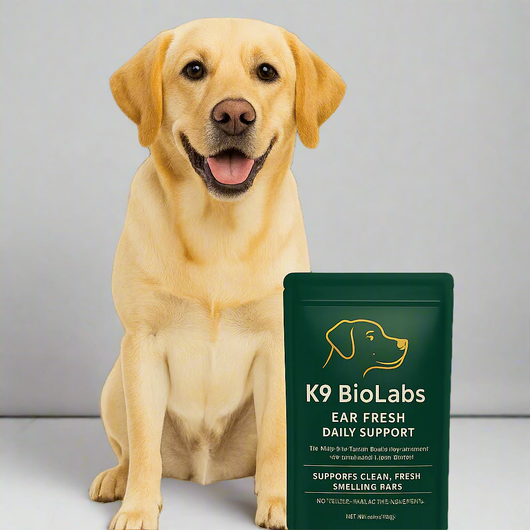 K9-B1 Gut-to-Skin Daily Defense