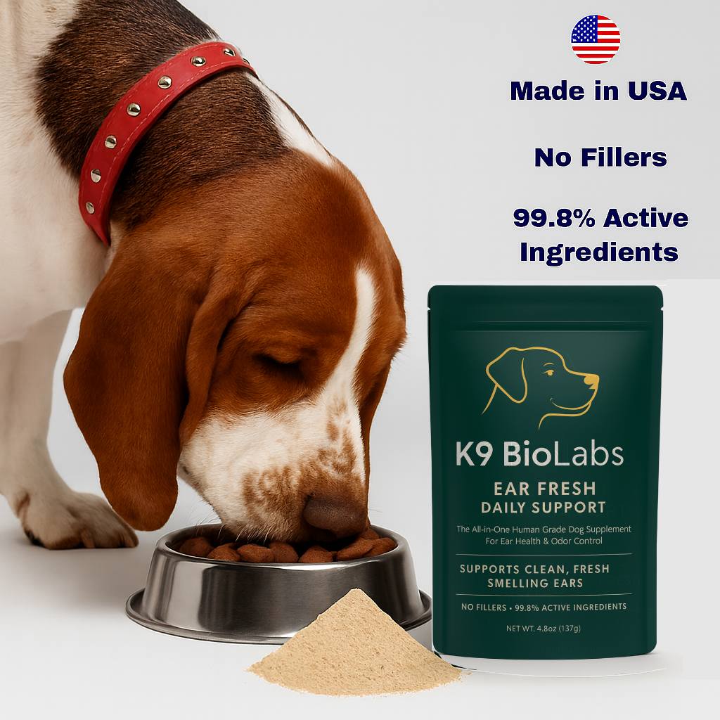 K9-B1 Gut-to-Ear Daily Defense